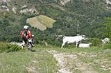 Enduro Appennino Tosco Emiliano Giugno 2009 - 36